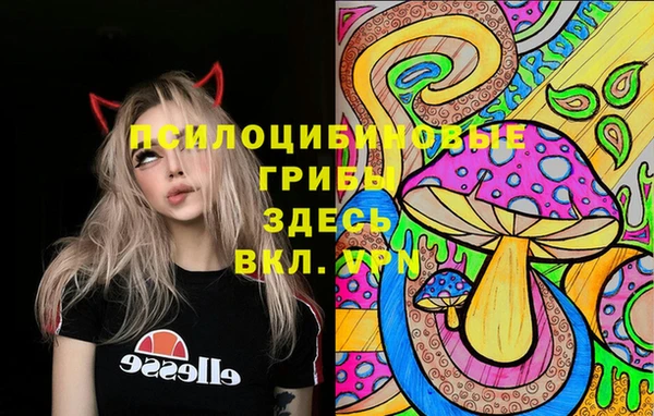 героин Алзамай